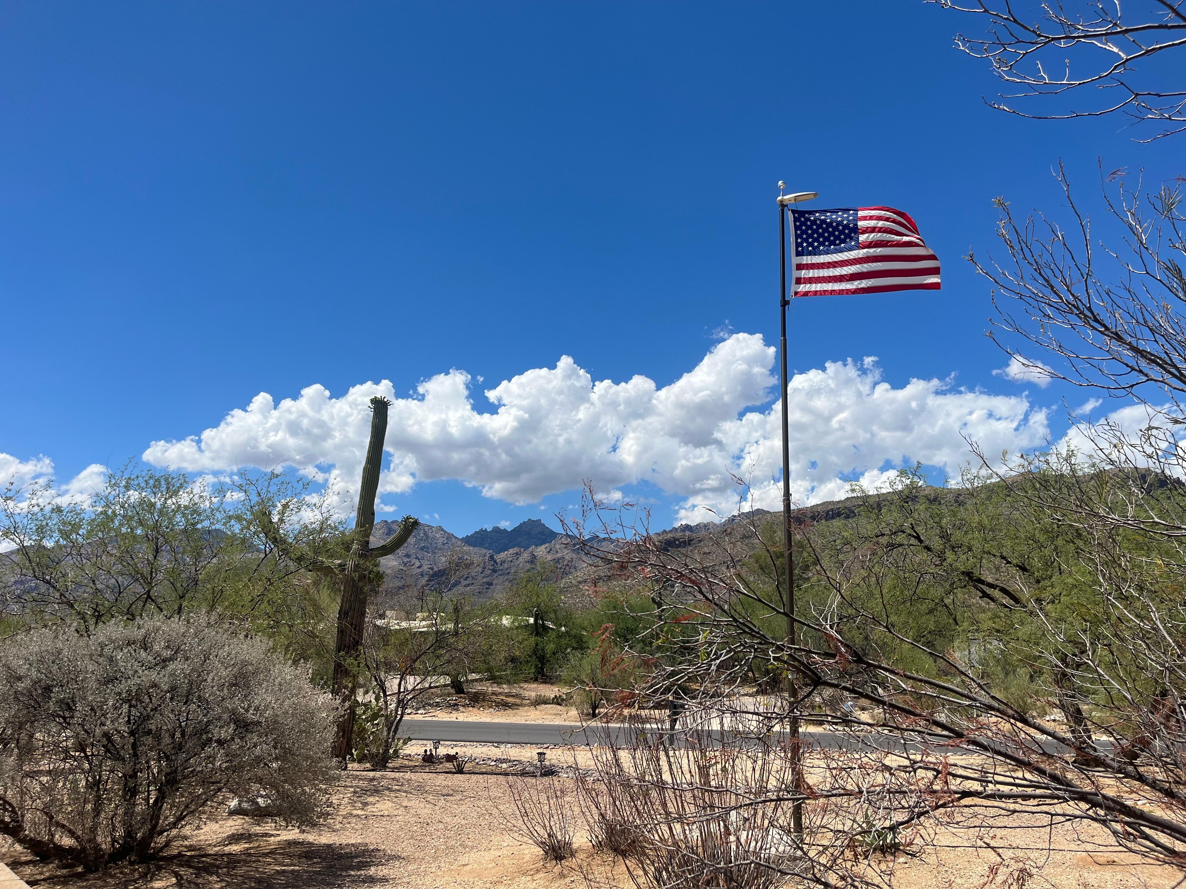 View from the front porch.