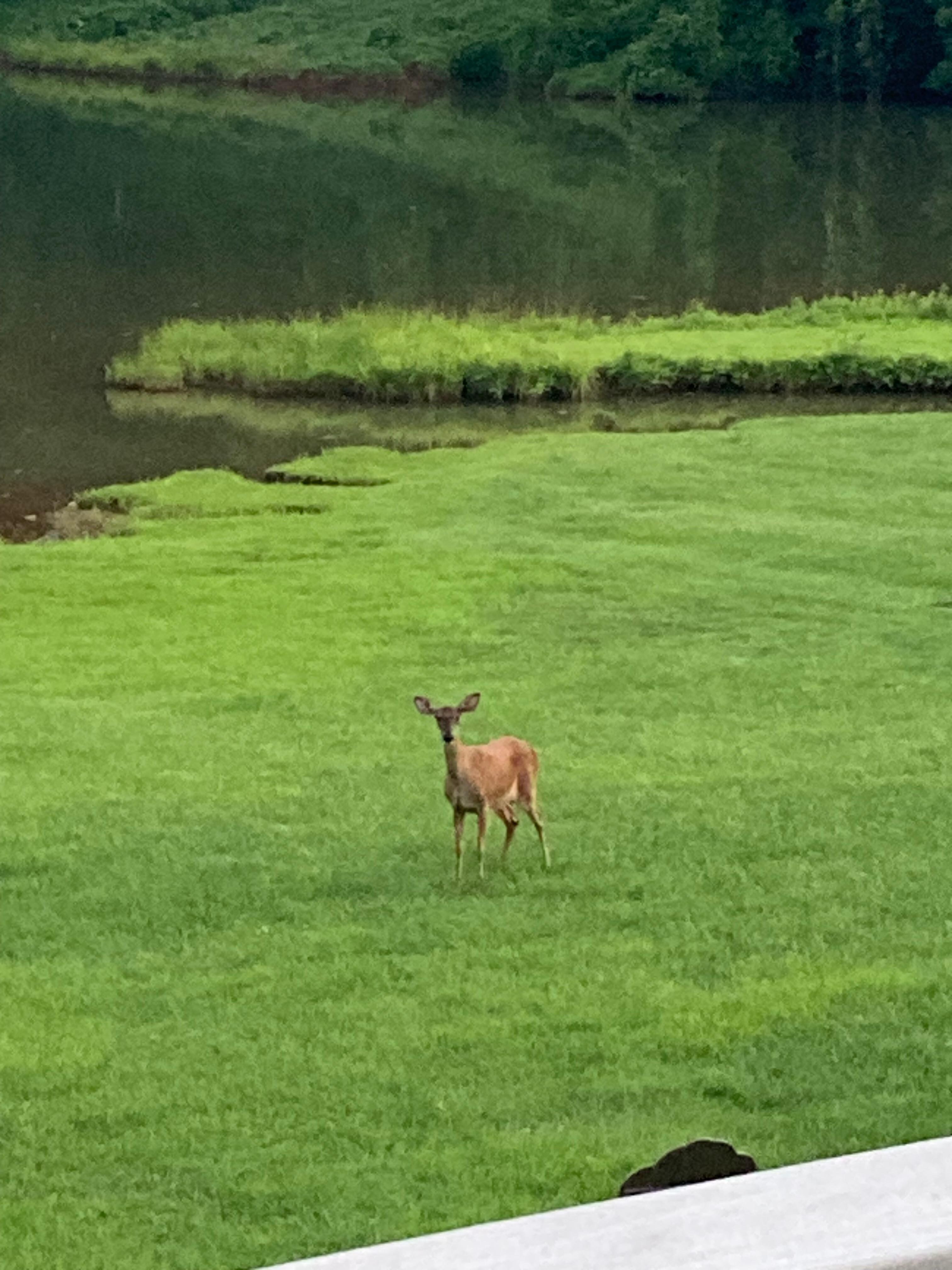 Nature at its best!