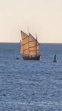 Immer was zu sehen auf dem Wasser; FernglÀser mitnehmen!