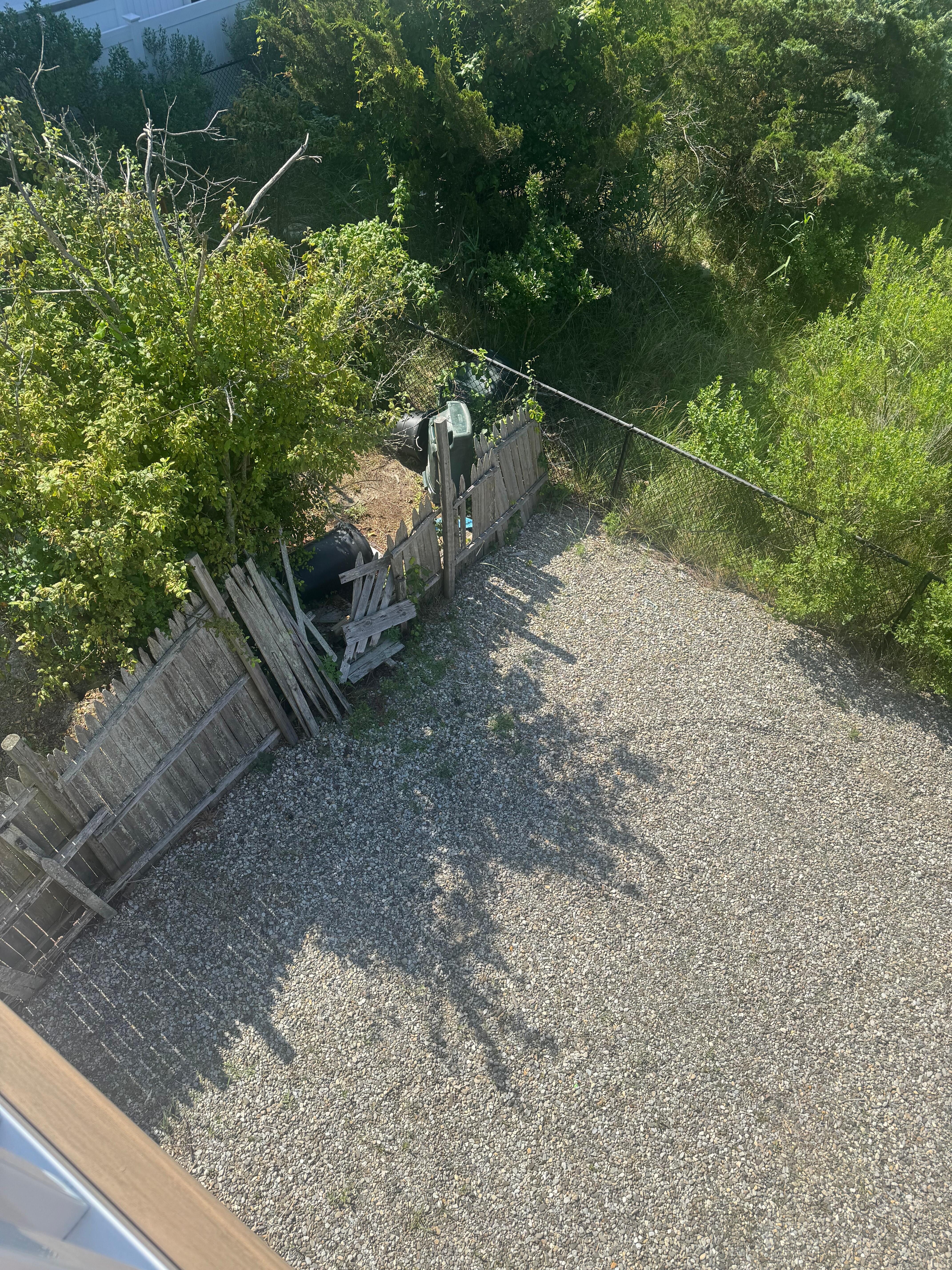 Our back yard fence