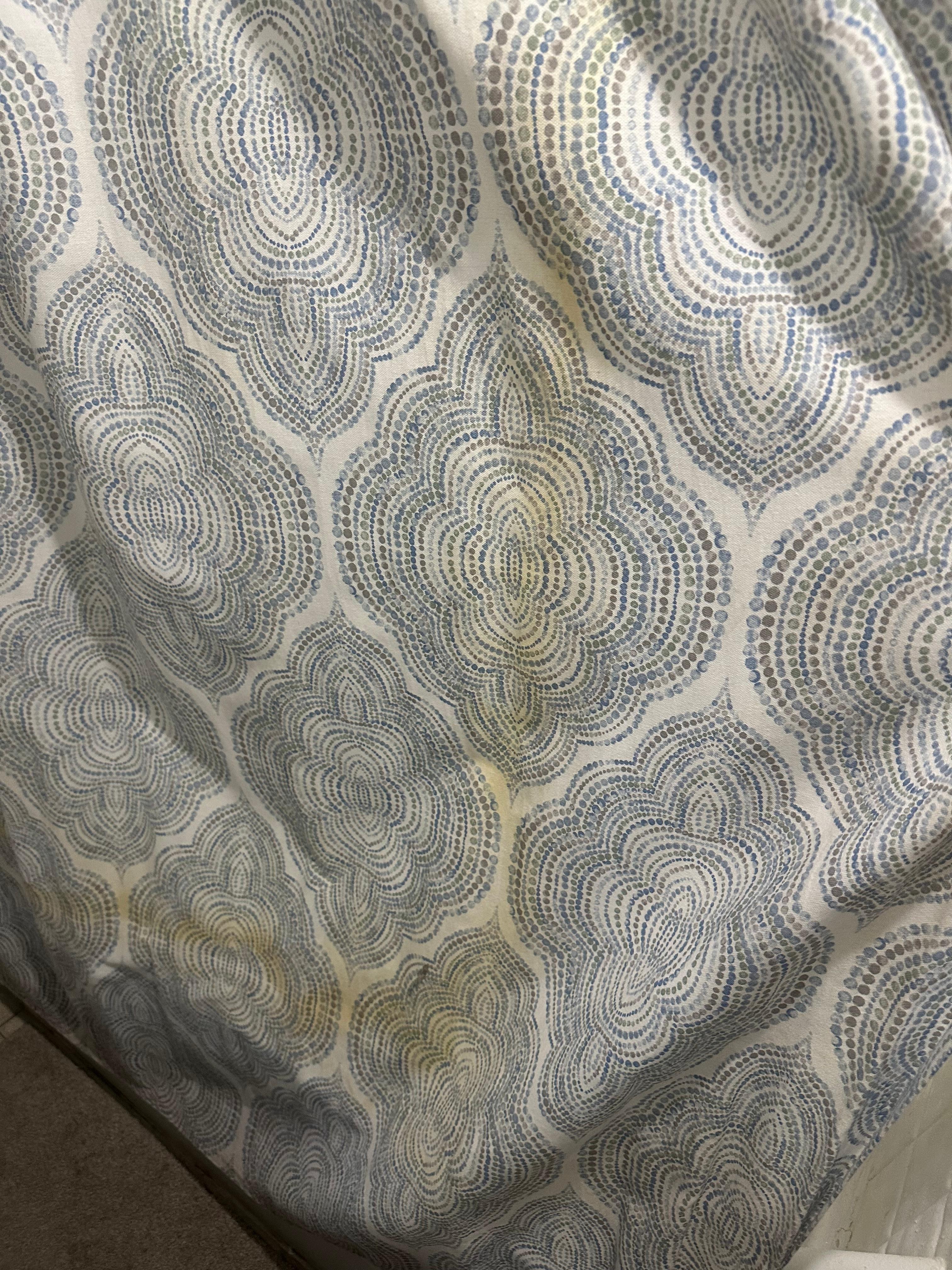 Shower curtain stain, looked and smelled like urine 