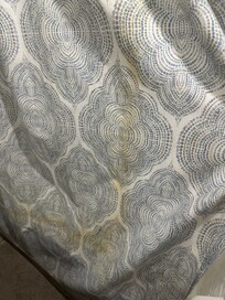 Shower curtain stain, looked and smelled like urine