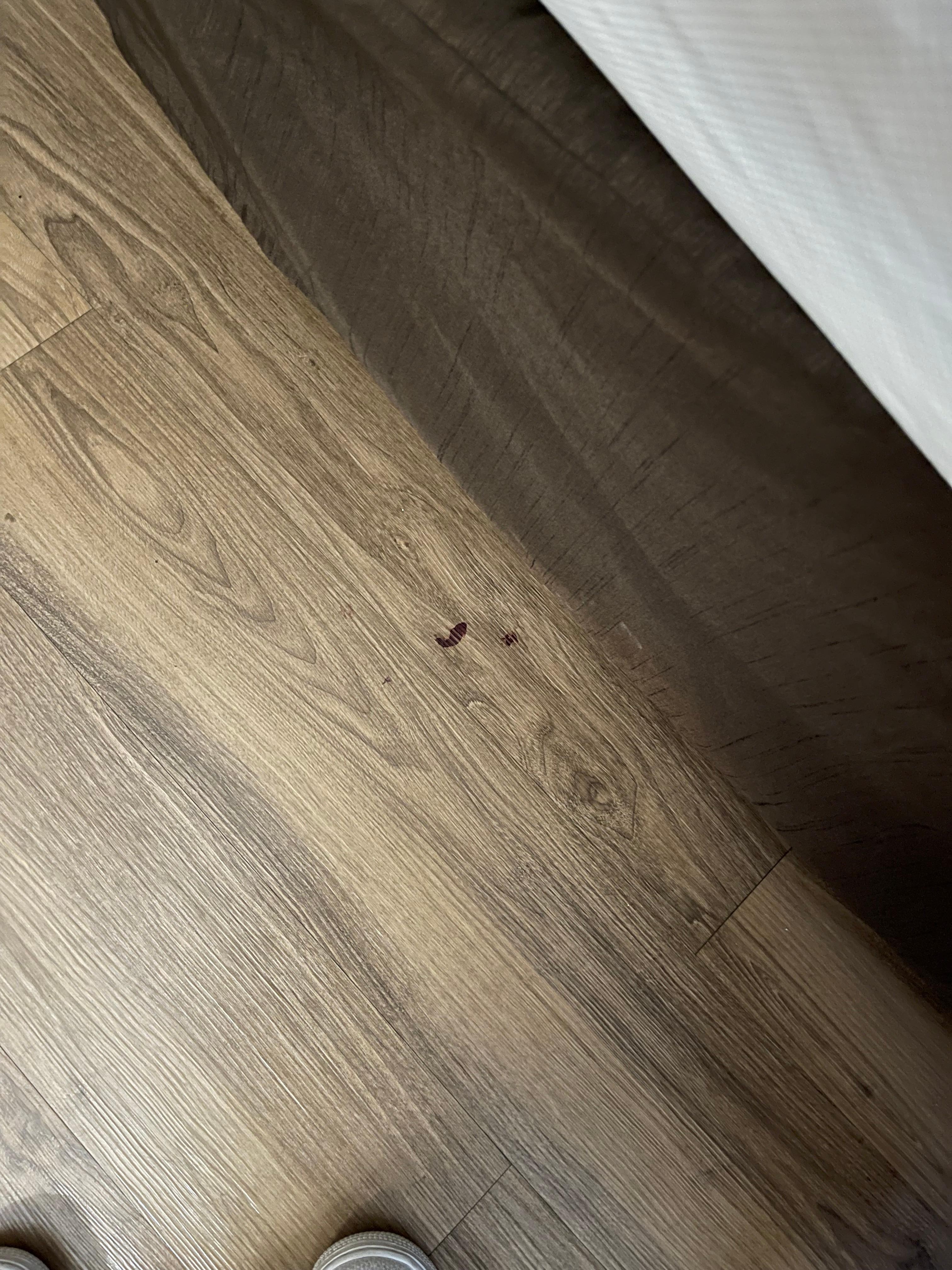 photos taken 5 mins after our check in.