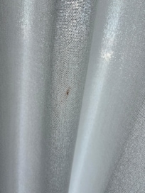 Looks to be blood on sliding glass door curtain.