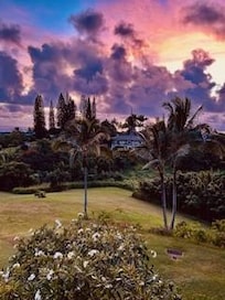 One more beautiful than the next.