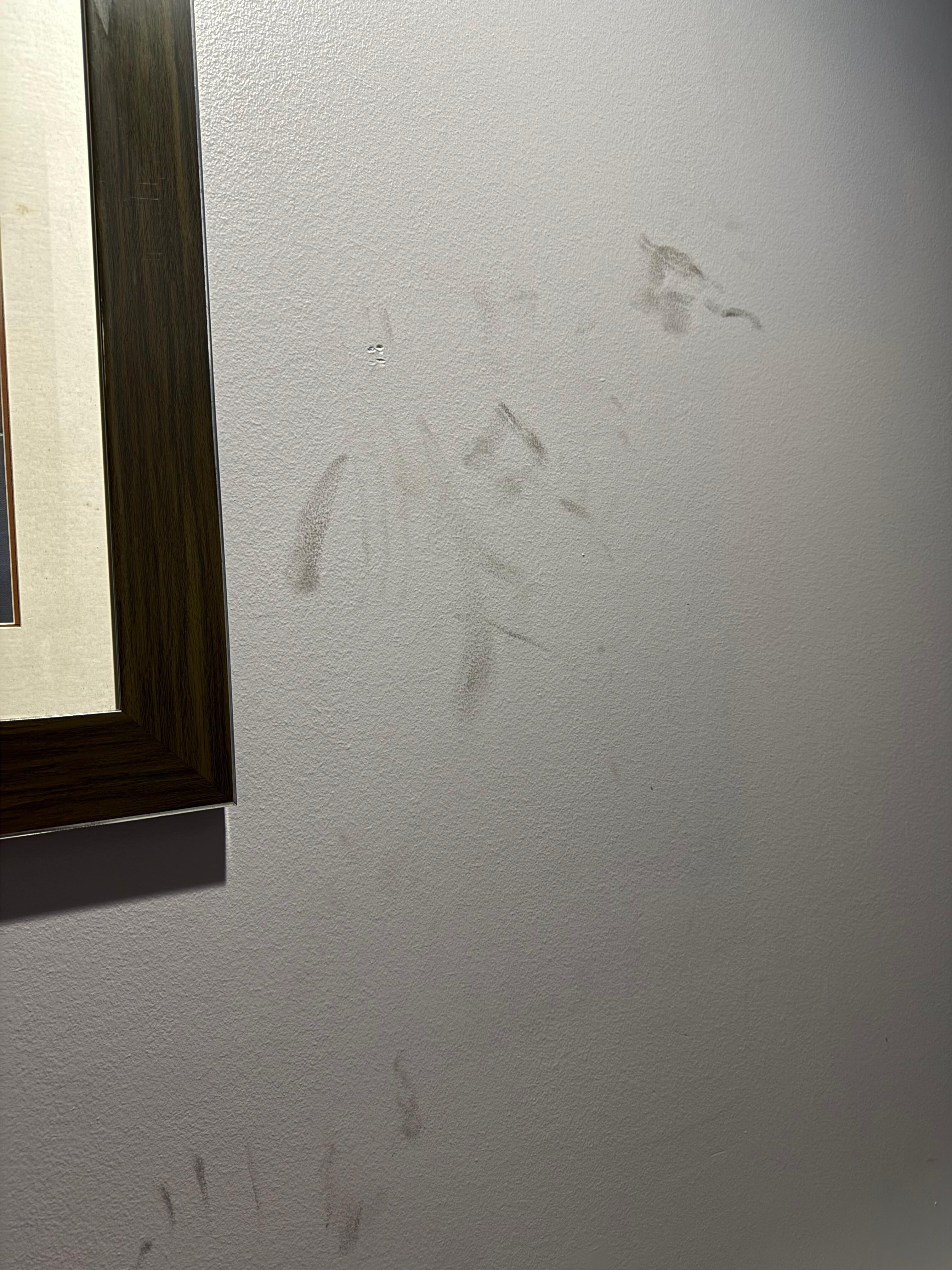 More nasty stains on the wall