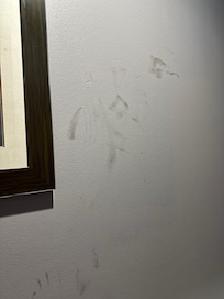 More nasty stains on the wall