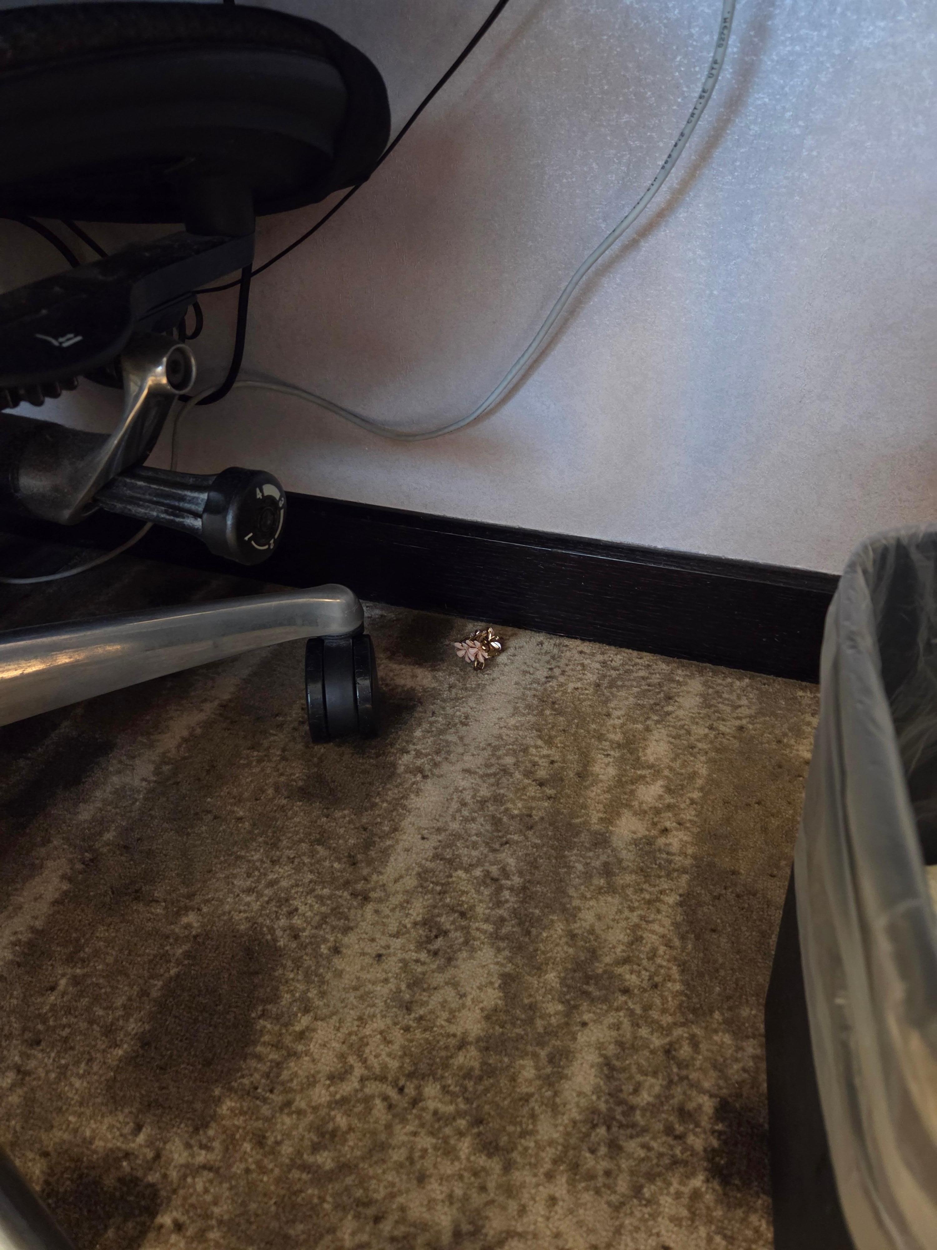 入住當晚發現桌下有上一位住客遺留的髮夾， 住了三晚都沒有被清潔阿姨發現