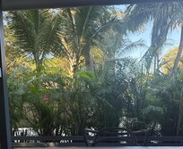 From my kitchen table.