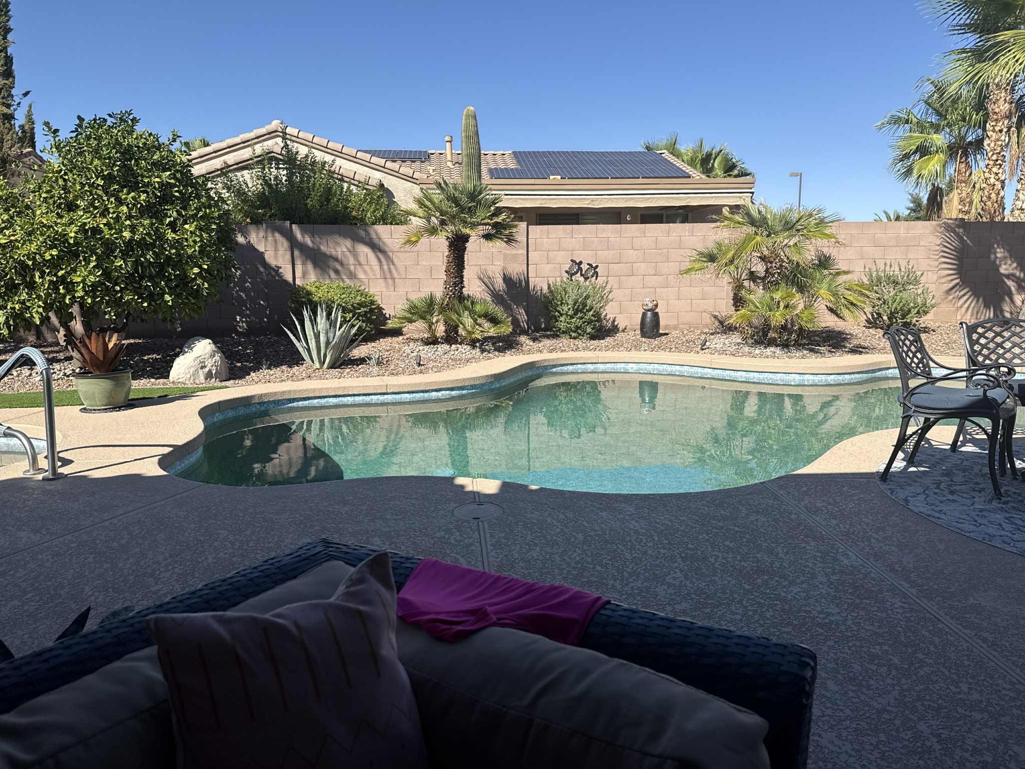 Can't get eoungh of the backyard!