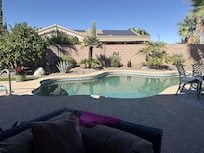 Can't get eoungh of the backyard!