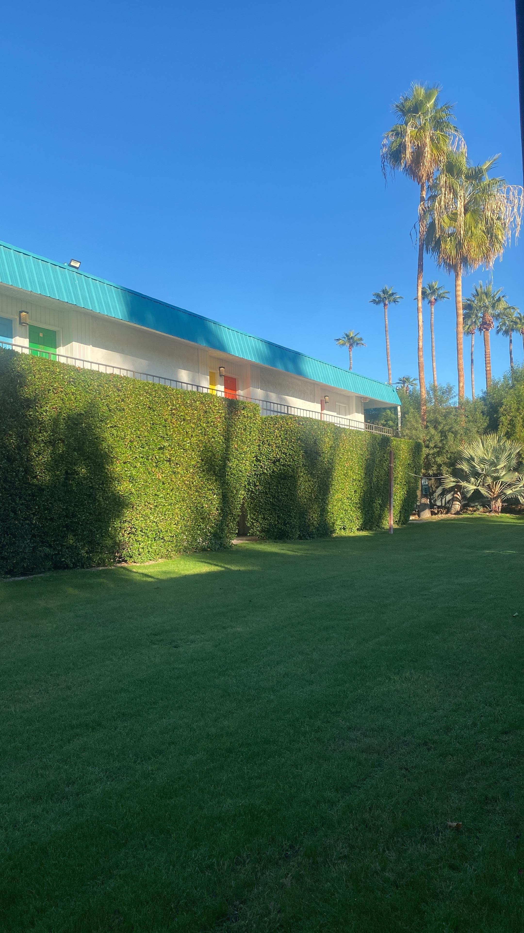 Garden area where WiFi was strongest signal 