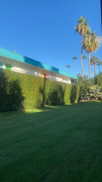 Garden area where WiFi was strongest signal