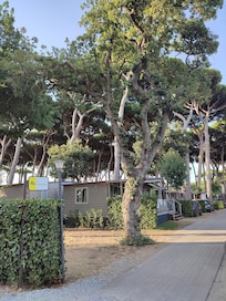 Viale interno