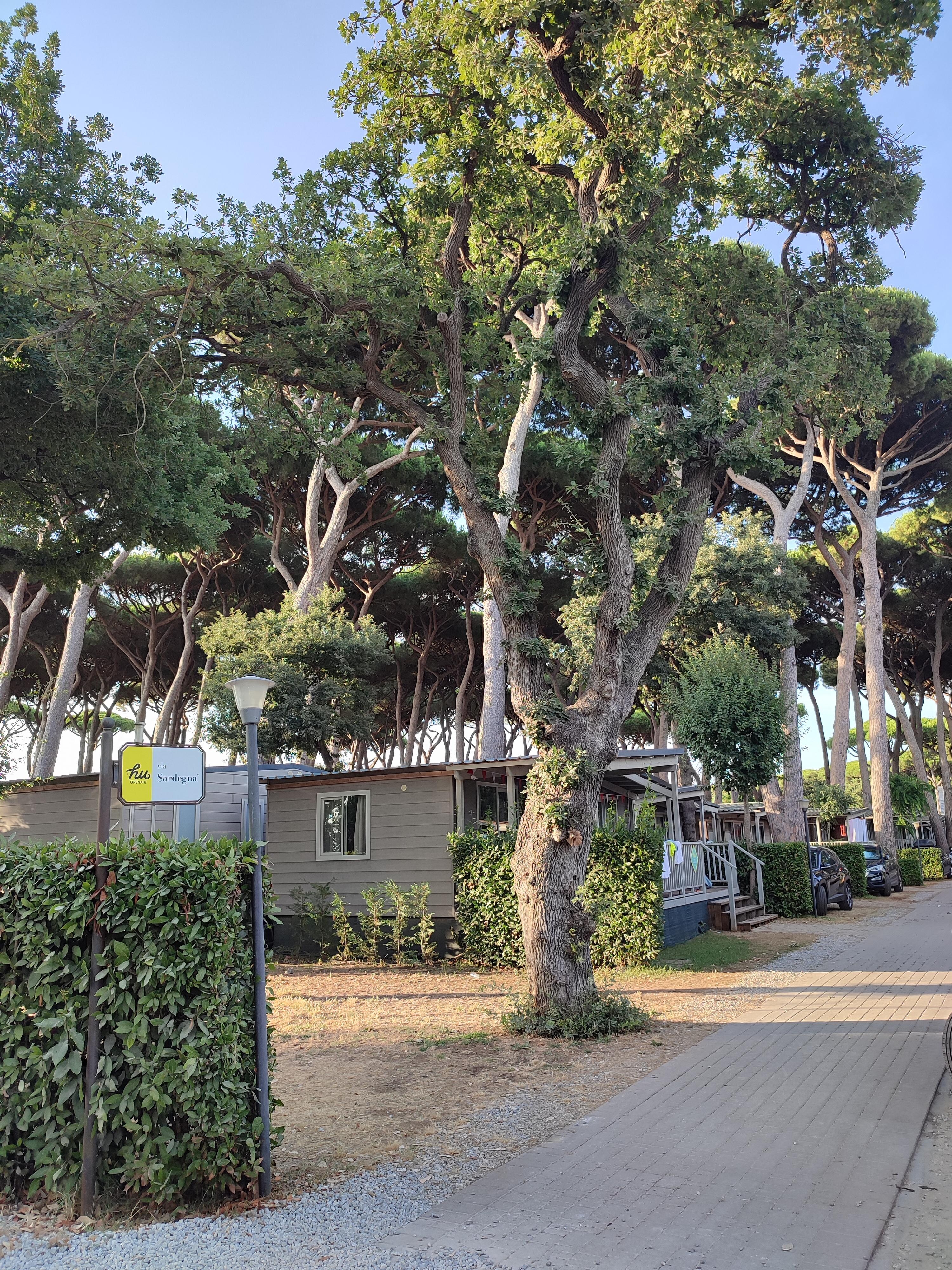 Viale interno