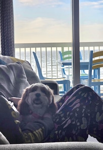 Happy pup to be with us on vacation