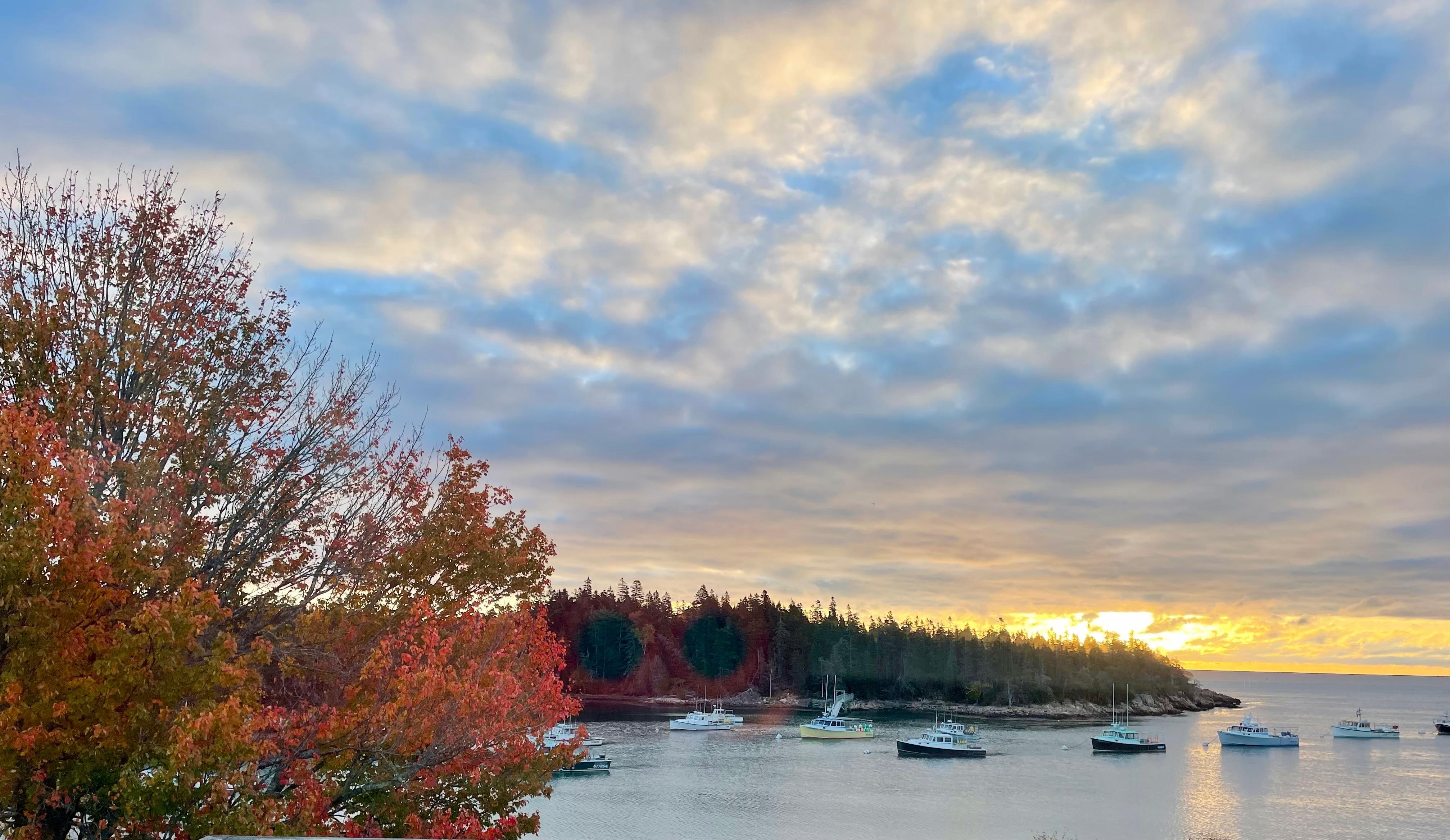 Sunrise from the from deck! 