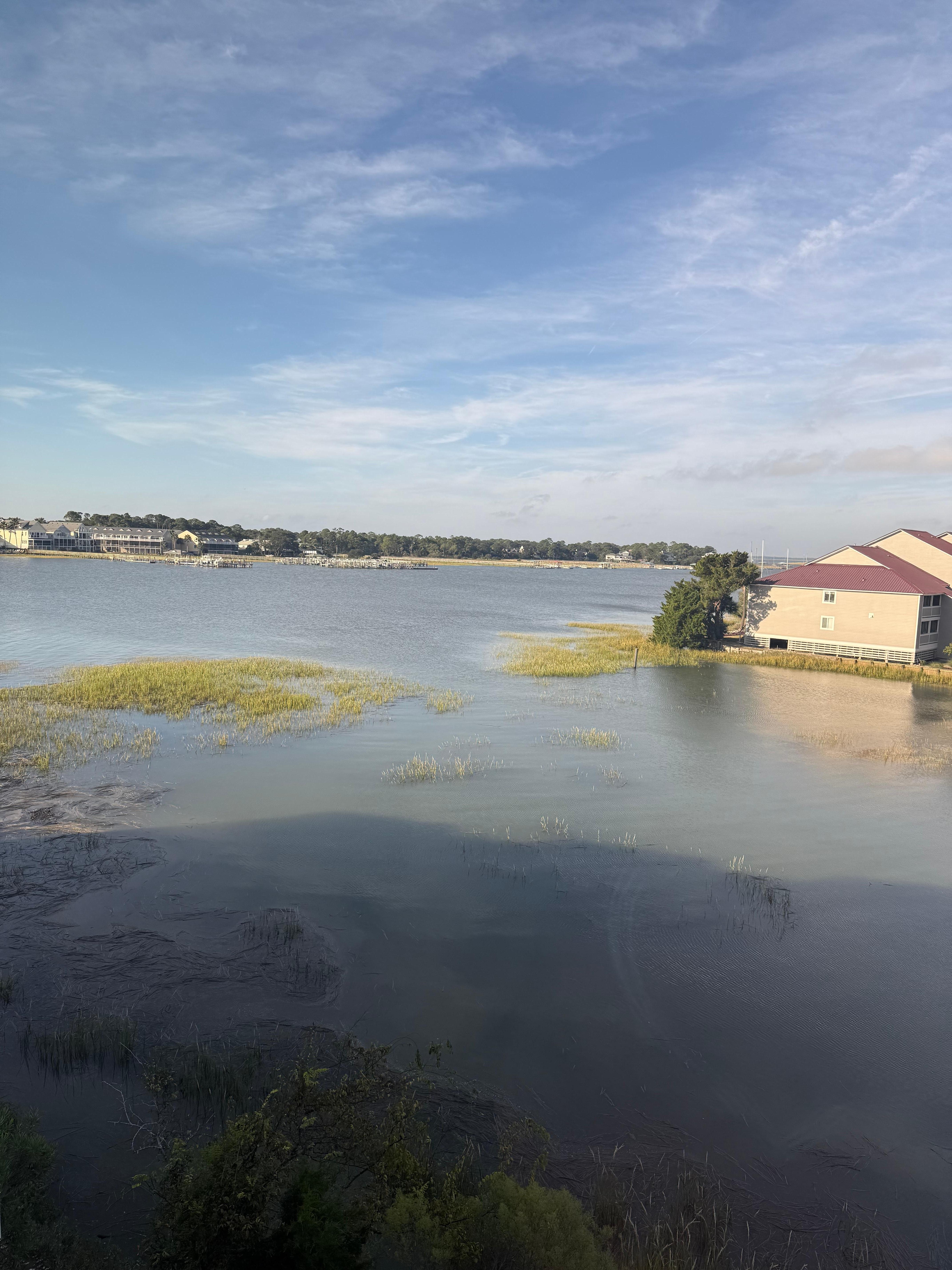View from living room window