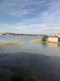 View from living room window