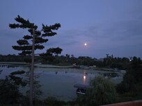 Moon over the bay