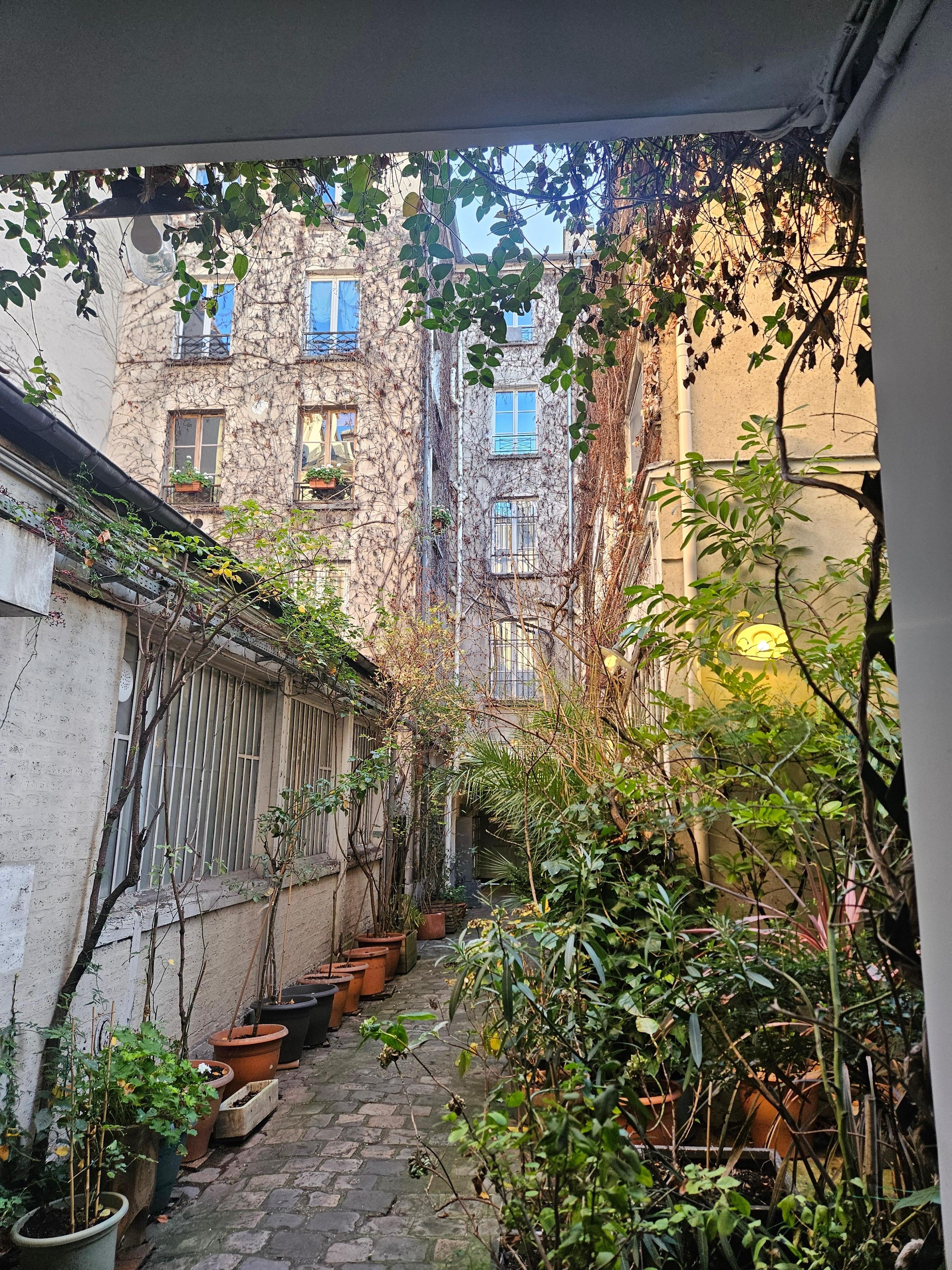 Apartment complex courtyard