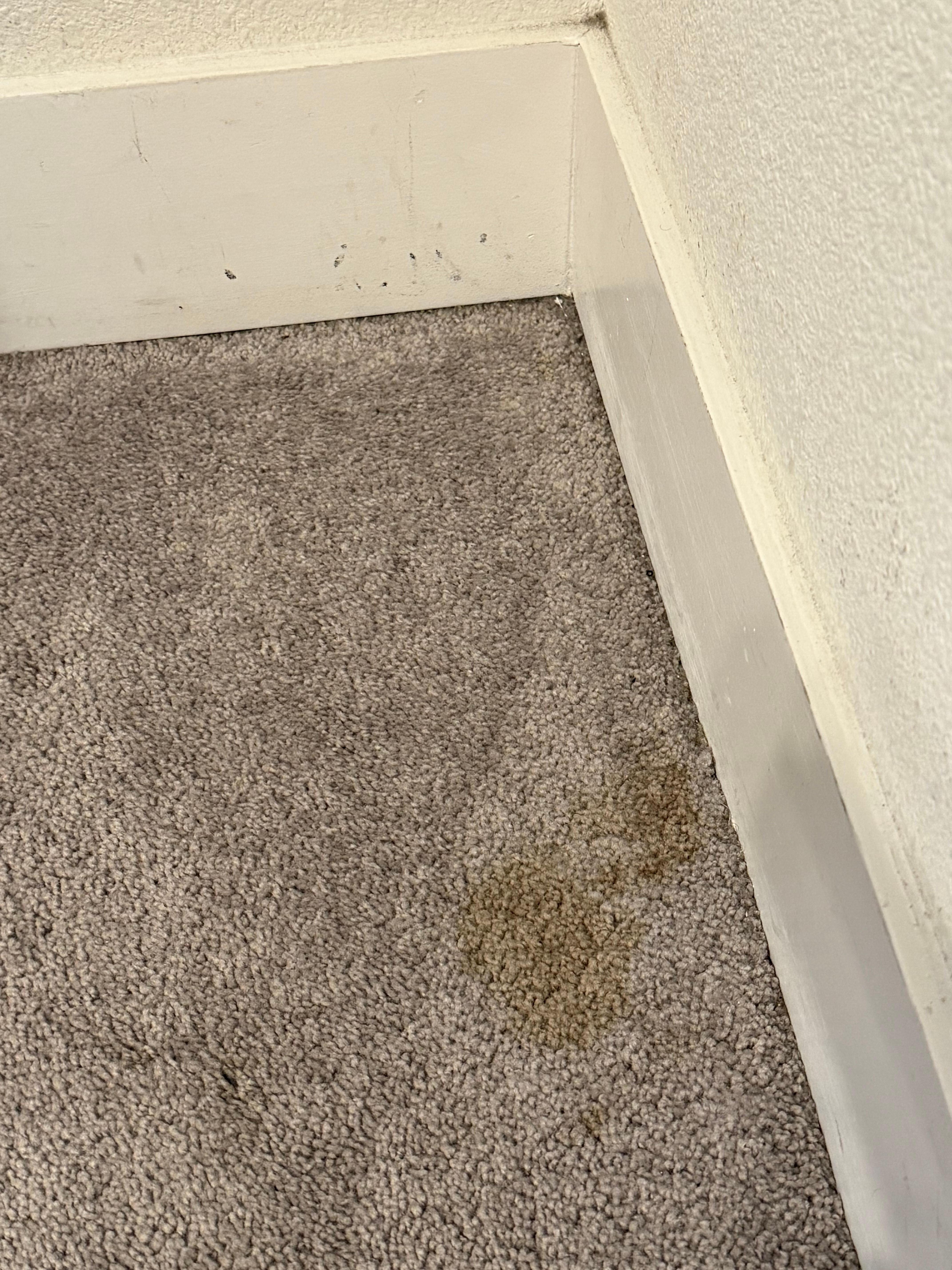 All of the floors