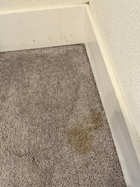 All of the floors