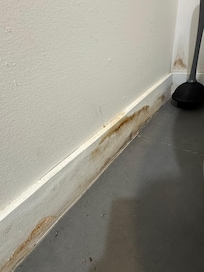 Moldy baseboards that smelled