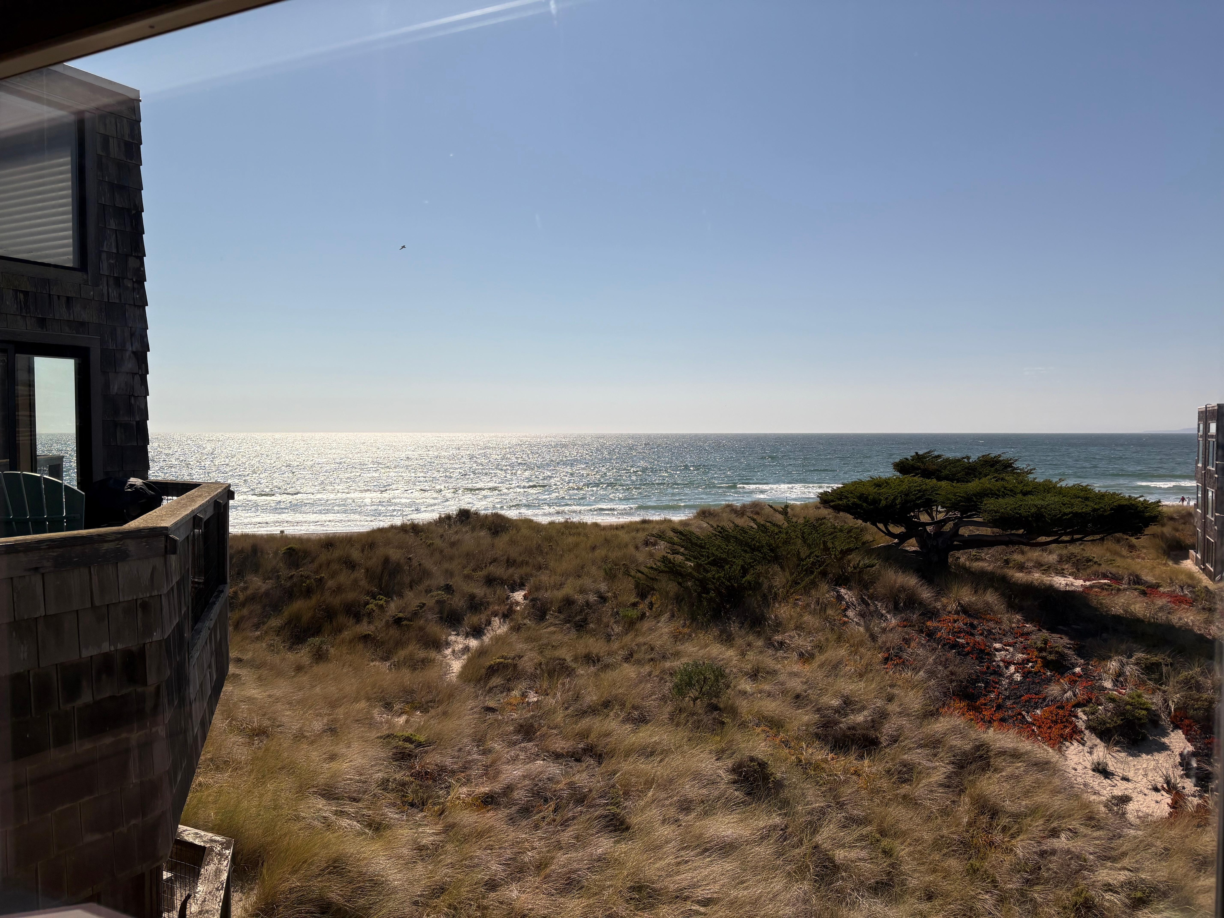 View from living area window