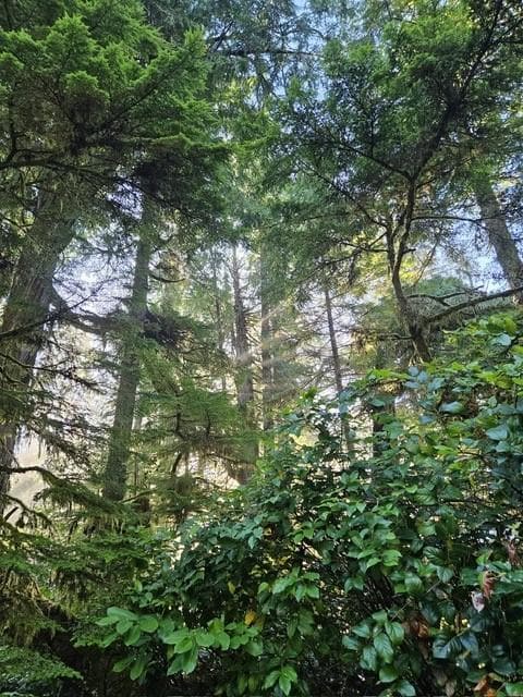 Serenity and Peacefulness