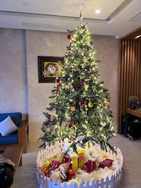 Christmas at the Seashore