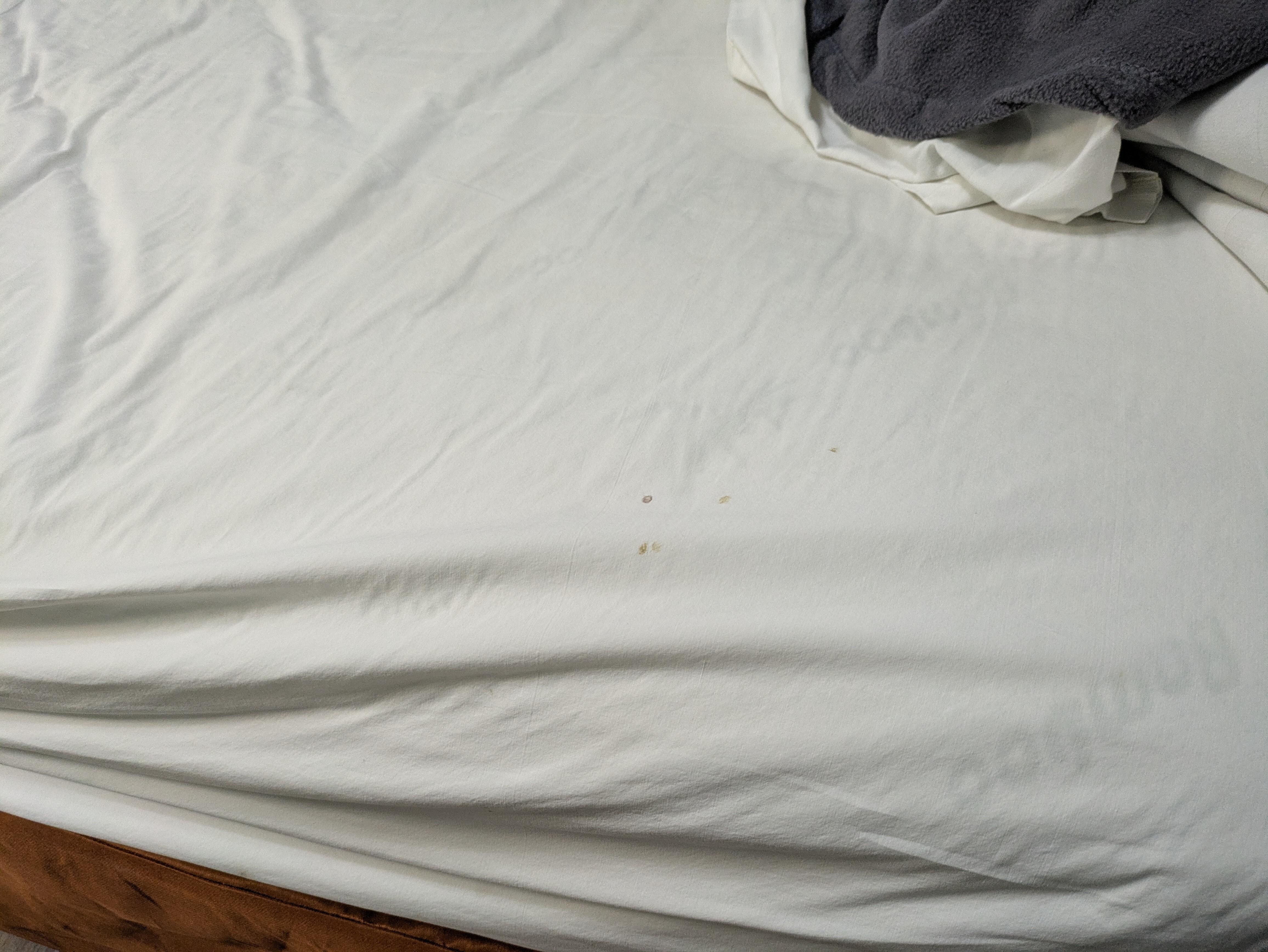 What are these stains? I don't want to know