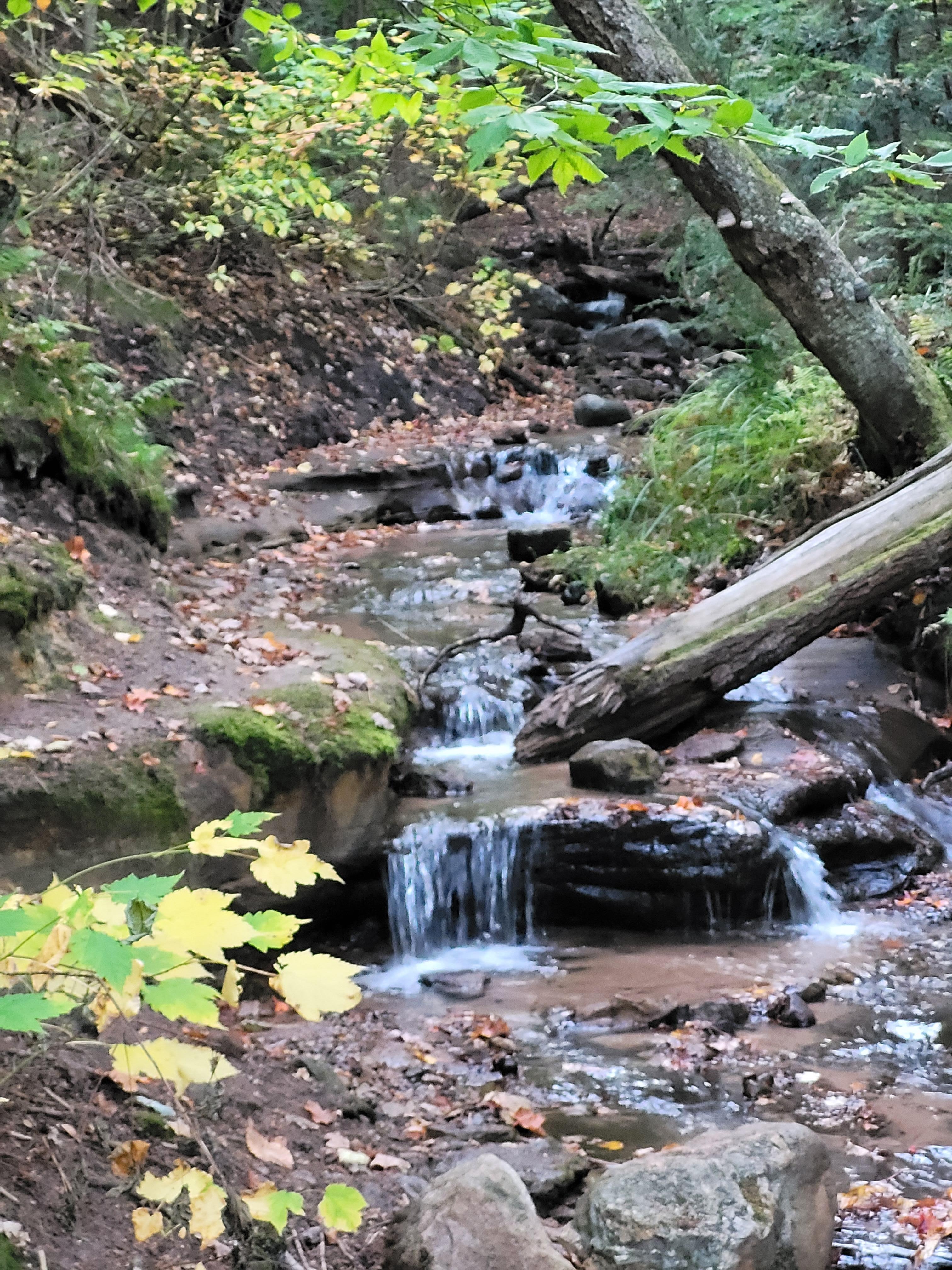 wagner falls side stream .