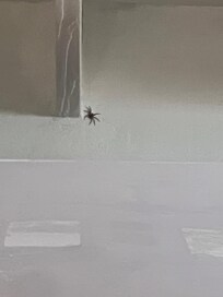 This is the spider over near the bed and AC unit