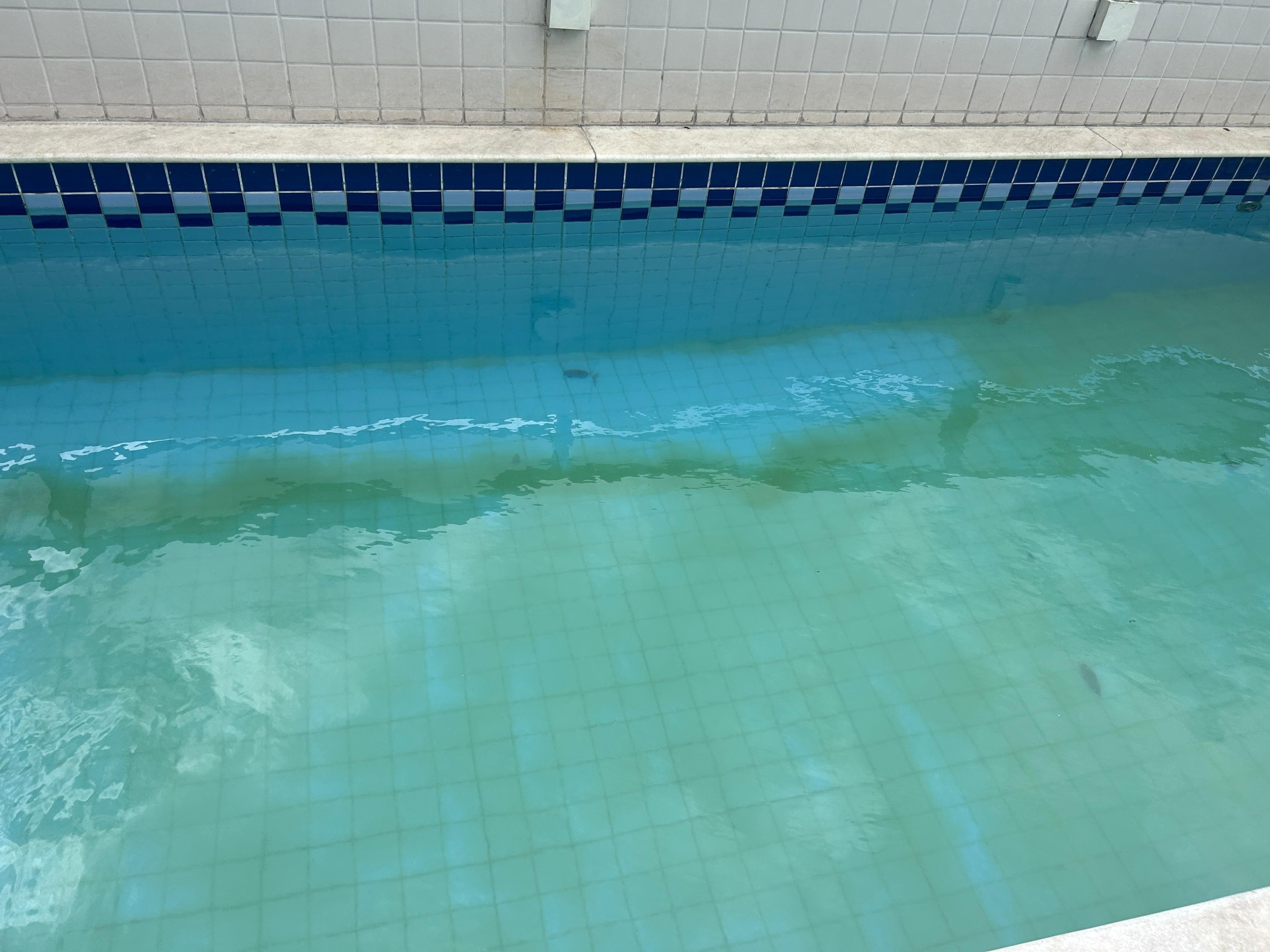 Começou a limpeza da piscina. 