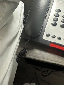 Flying insect on phone cord