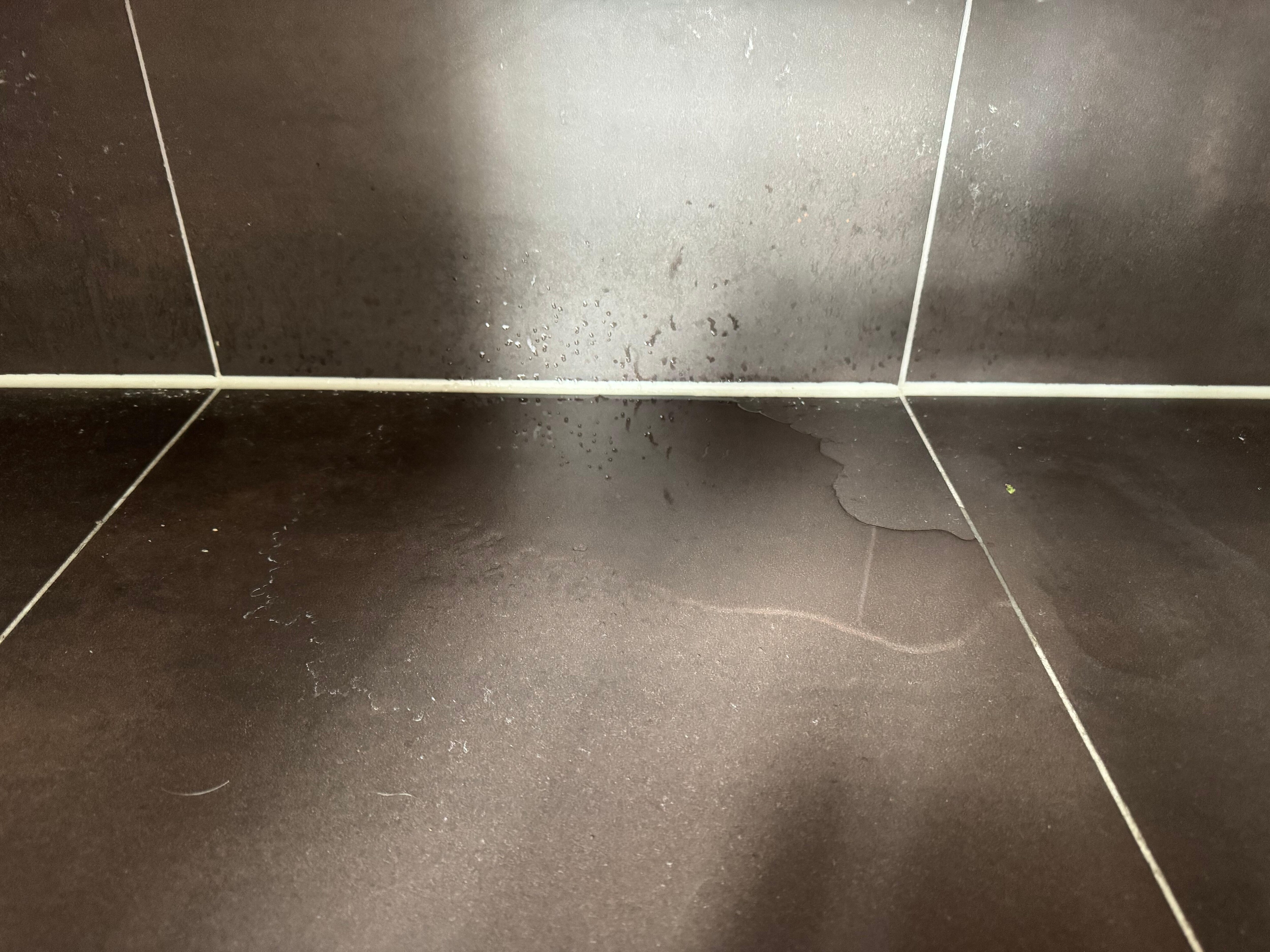 water from liking sewage pipe under sink