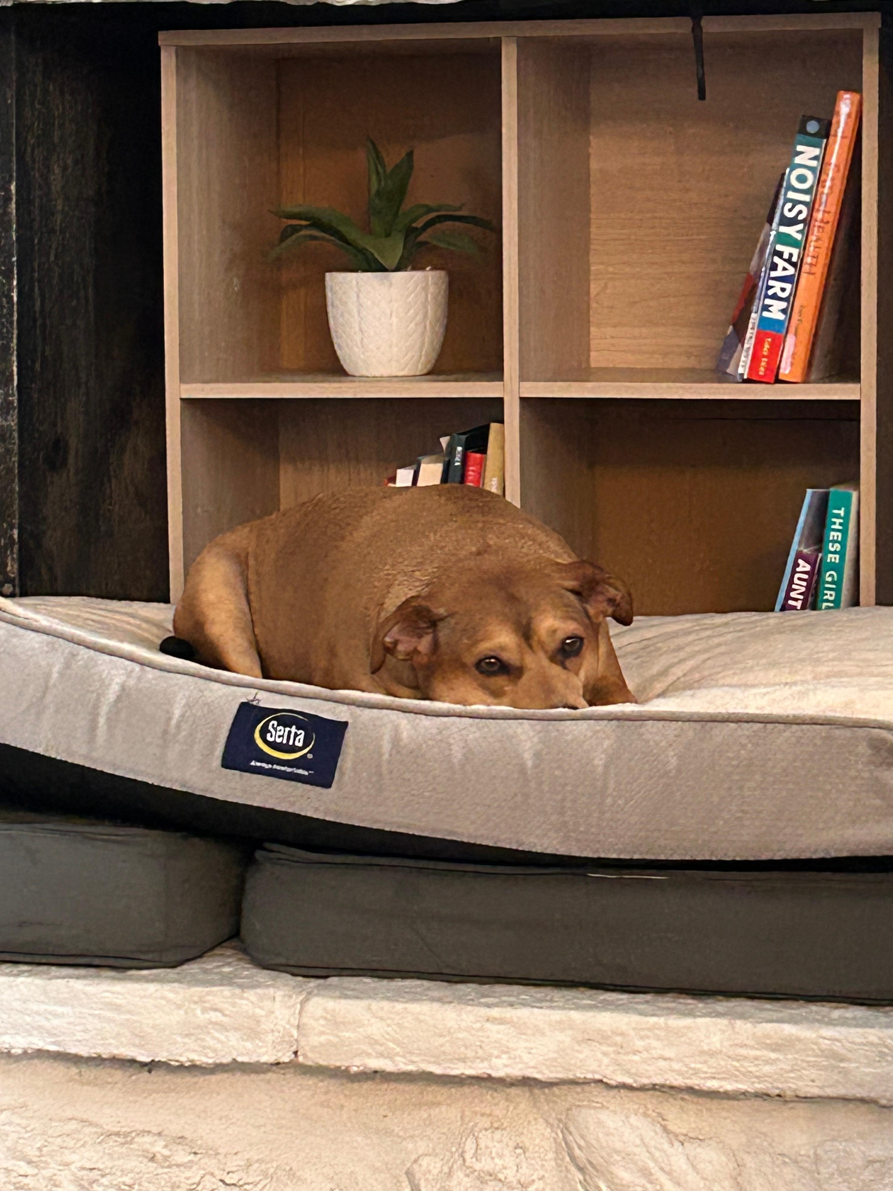 A nice spot in front of the fireplace 