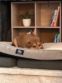 A nice spot in front of the fireplace