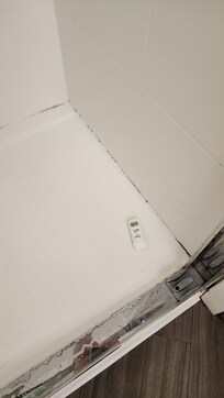 Moldy shower