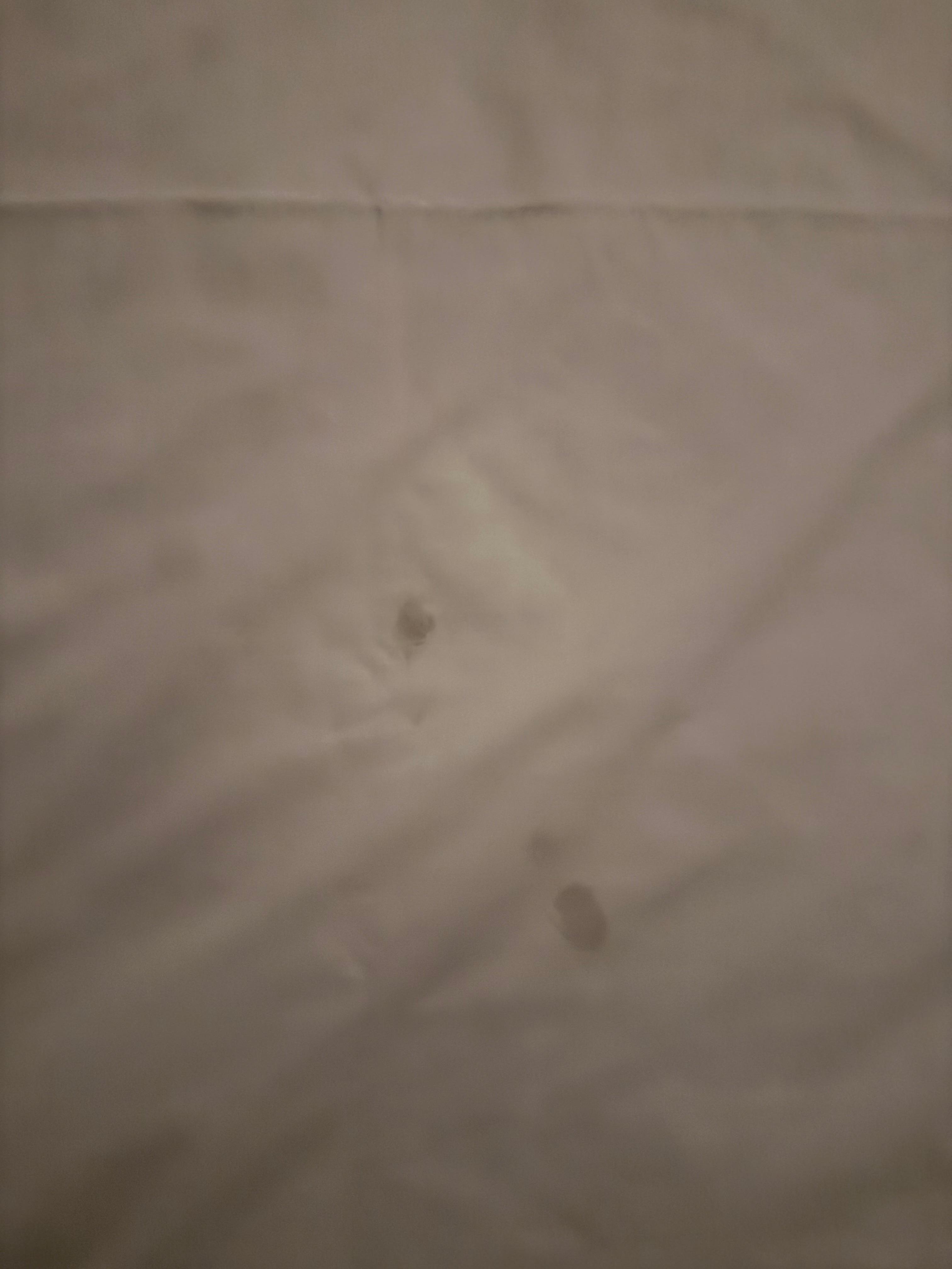 Dirty Sheets