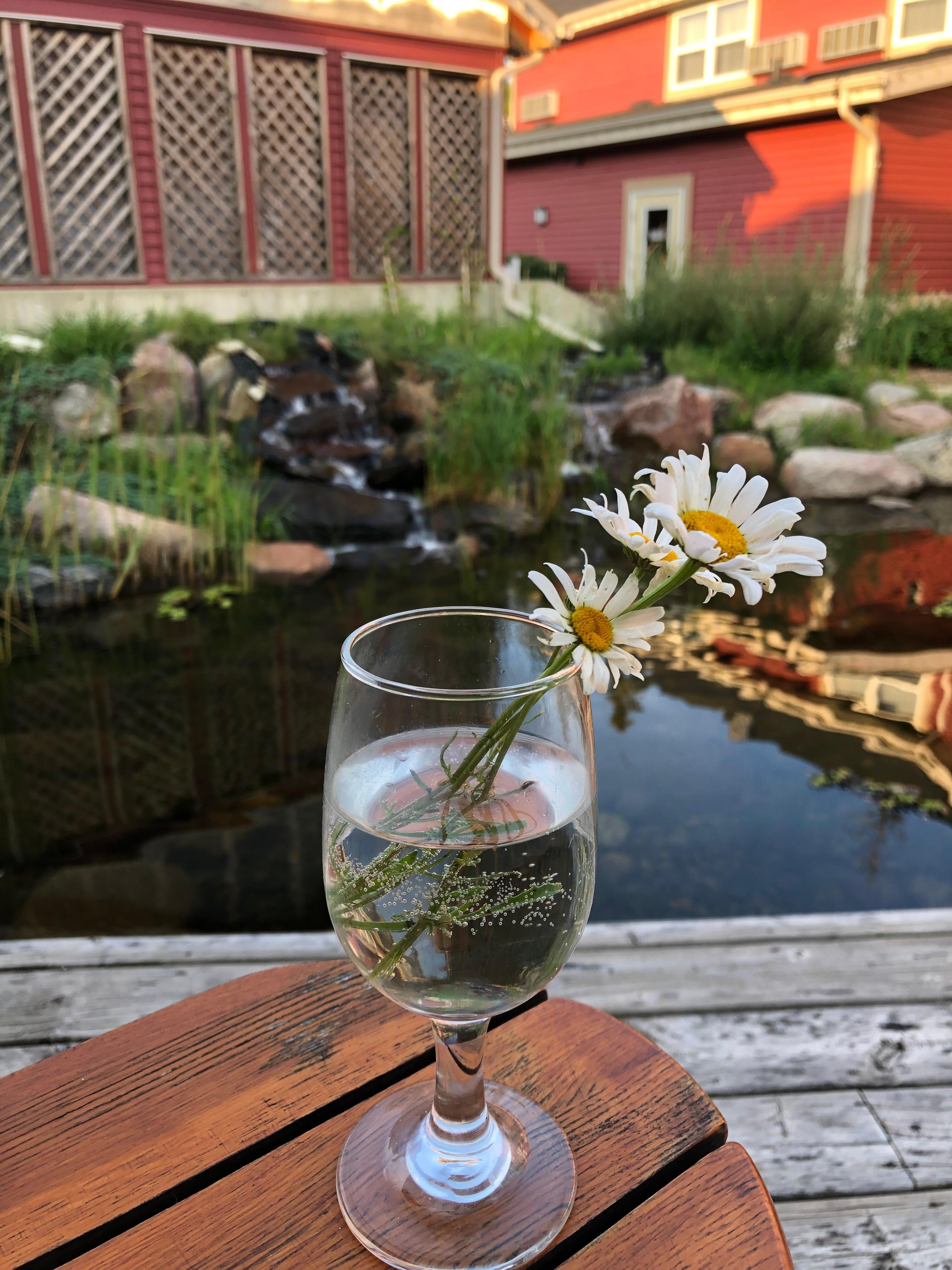 The Pond