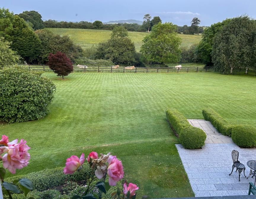 View out rear of house.