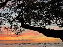 Sunset in front of the apartment