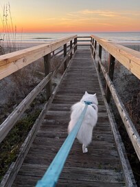 Going to the beach for a walk from the house's wallkway.