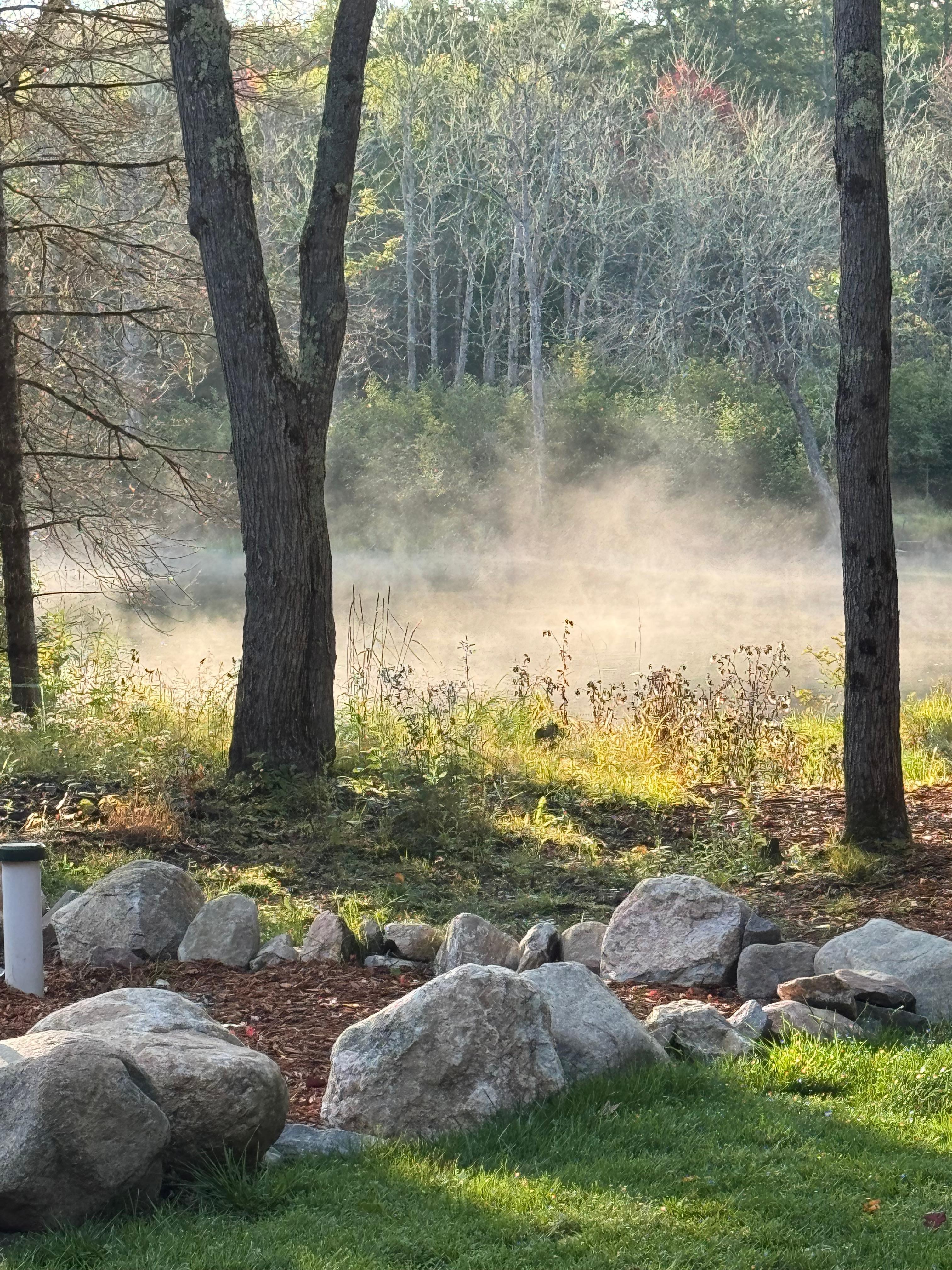 Beautiful spot on the river.