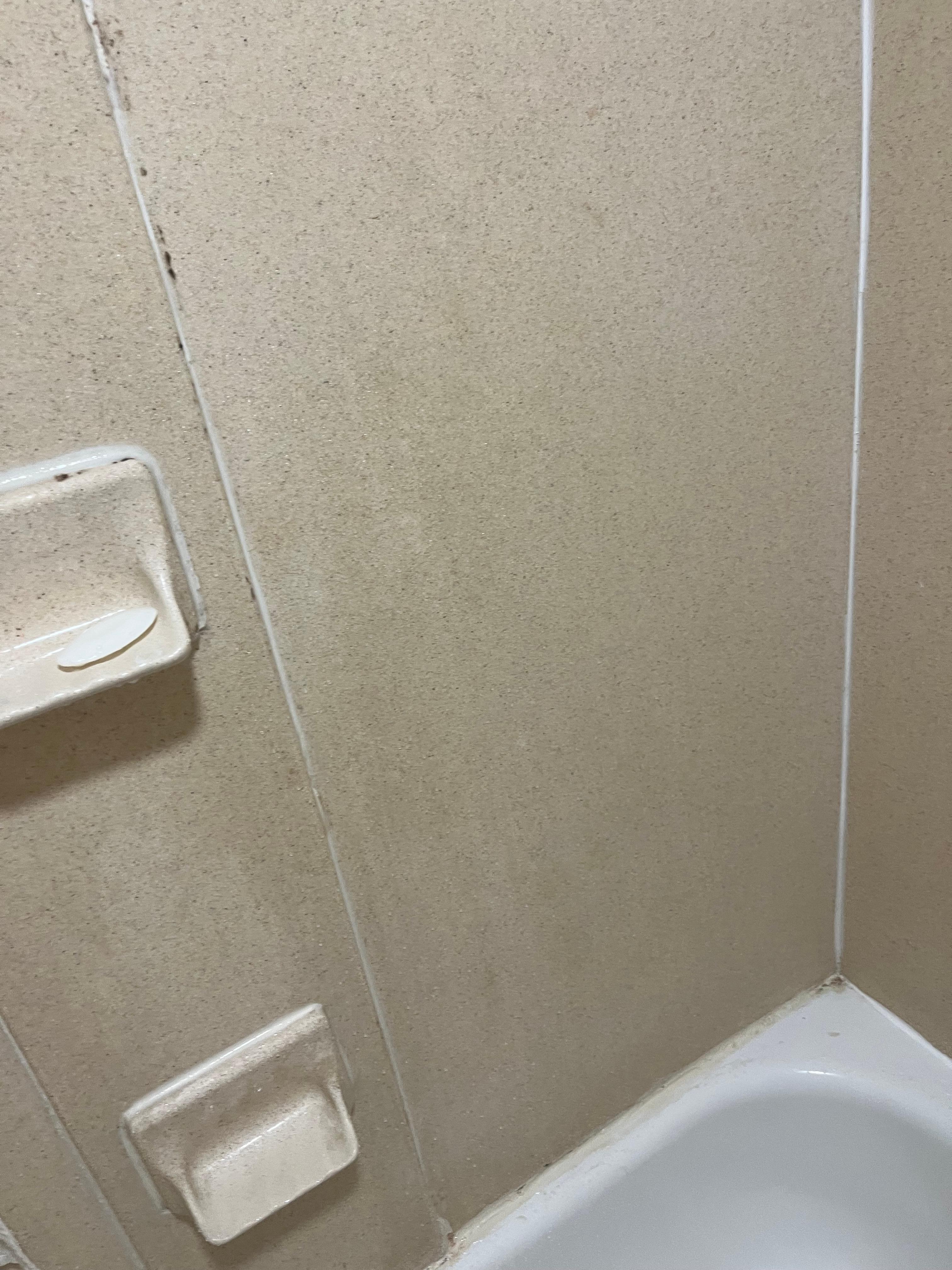 Mildew on shower walls needs scrubbing.