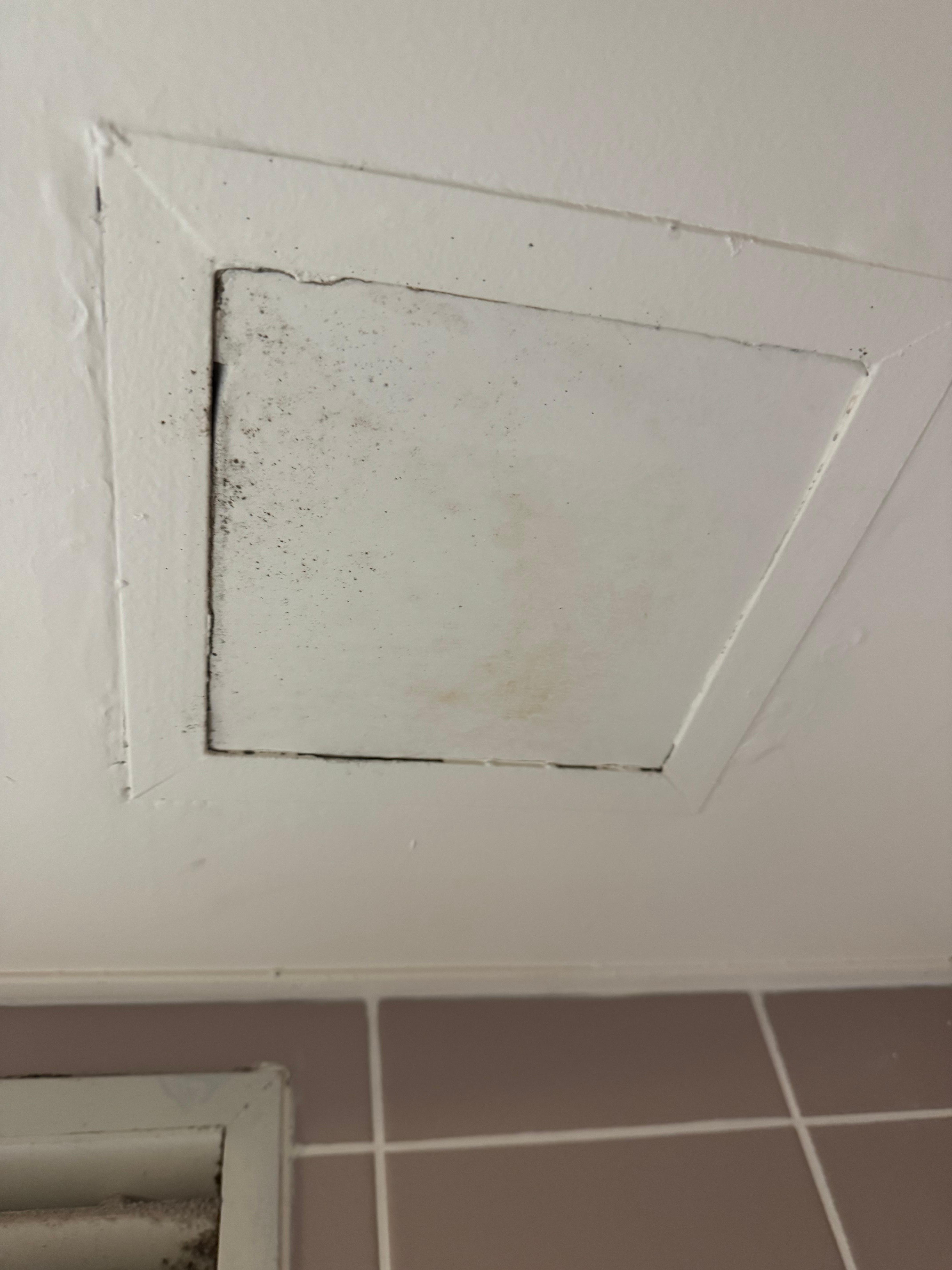 Mould on the access door in the bathroom