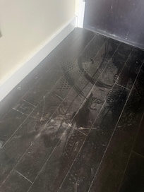 Floor was dusty and dirty, right where door opens to hallway