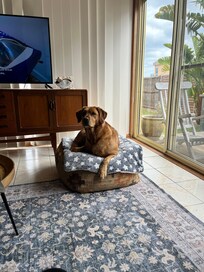 Using cover to sit on furniture